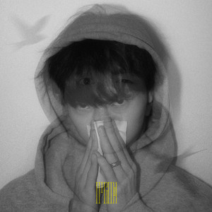 王鸥美女一级毛片
