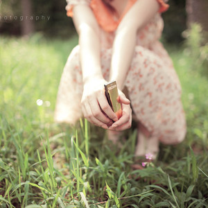 王鸥美女一级毛片
